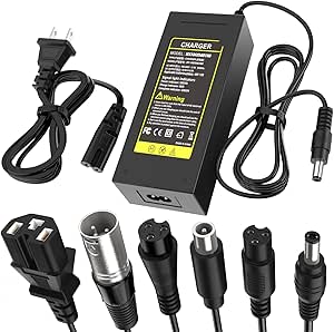 Chargeur pour batterie 48V -Trottinette/Vélo électrique